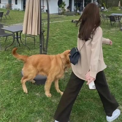 大控诉